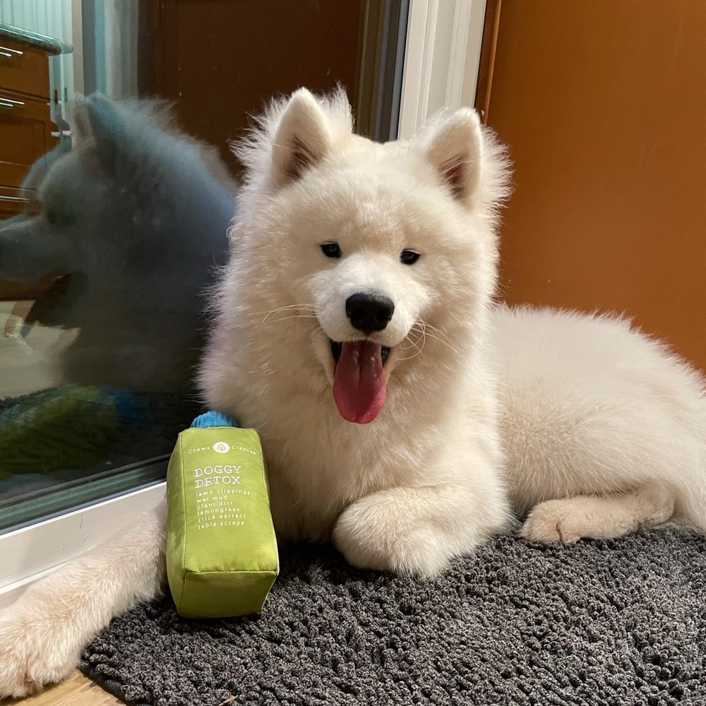 Meet your Posher, Ekaterina